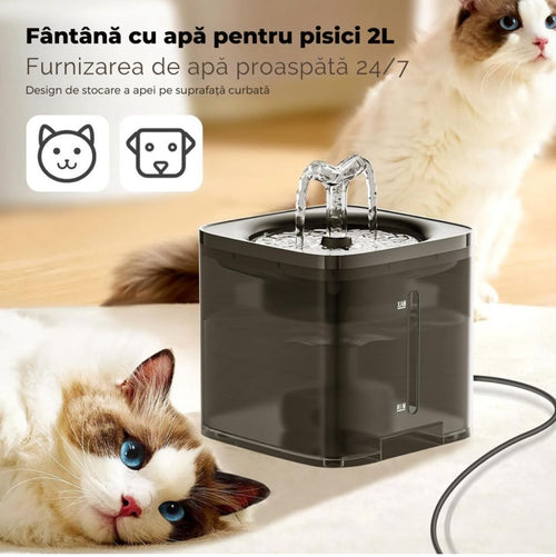 Fântână automată pentru pisici și câini 2L